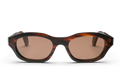 YIYI Carey w/ Brown Lens Non-Polarized 1